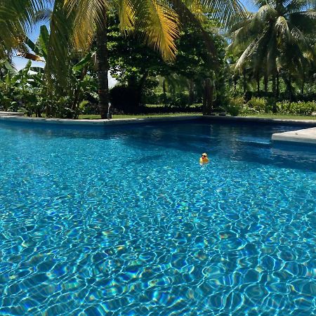 Sand Dollar Beach Bed & Breakfast Bocas Town Luaran gambar