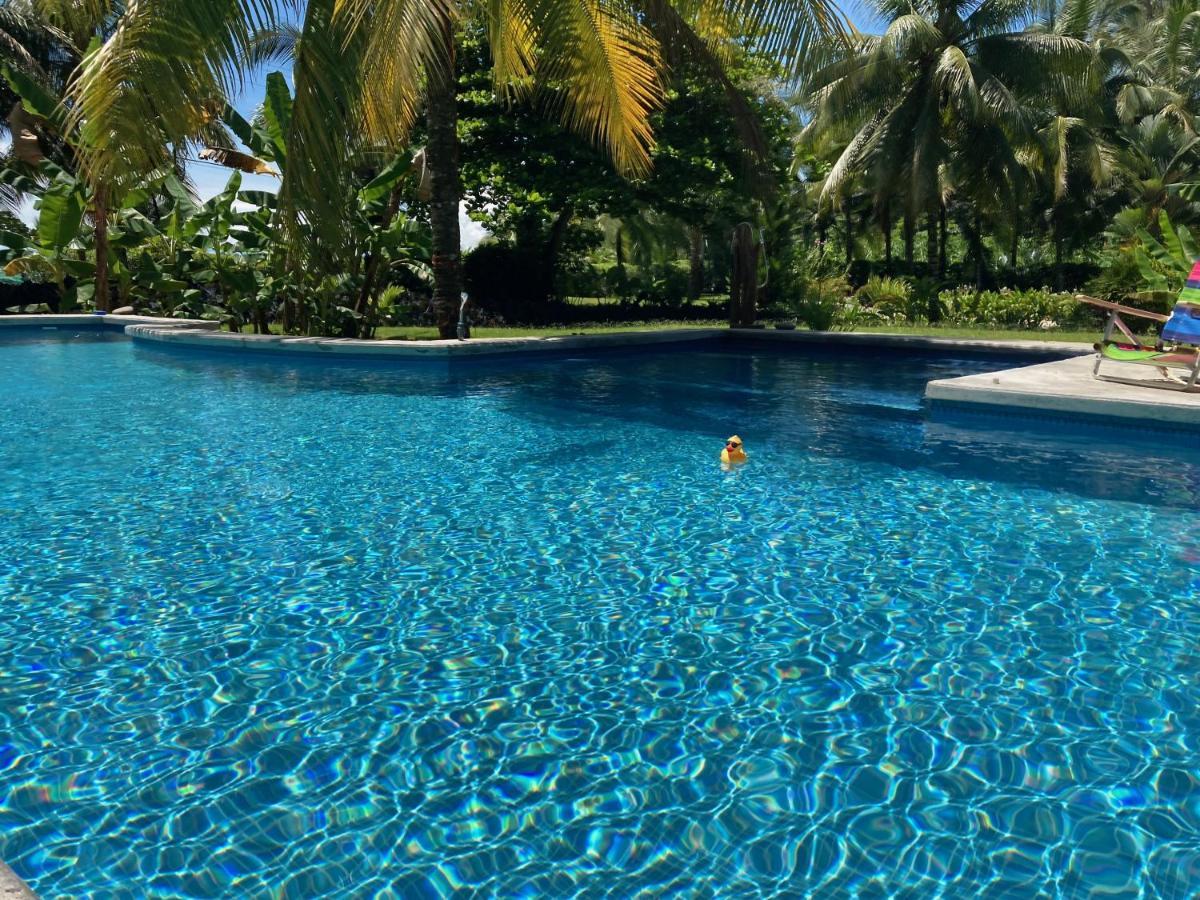 Sand Dollar Beach Bed & Breakfast Bocas Town Luaran gambar