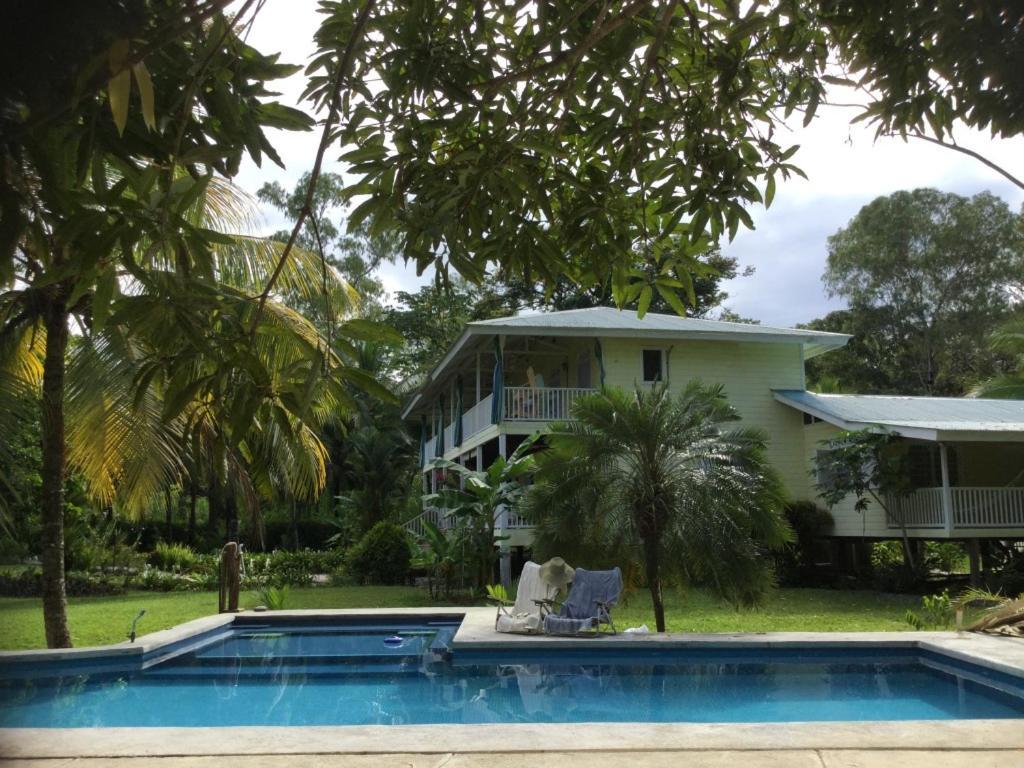 Sand Dollar Beach Bed & Breakfast Bocas Town Luaran gambar
