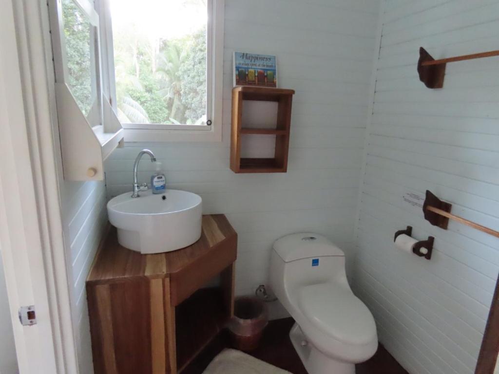 Sand Dollar Beach Bed & Breakfast Bocas Town Luaran gambar