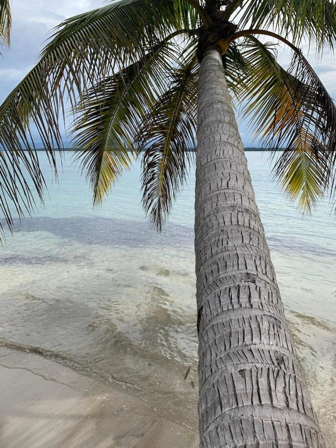 Sand Dollar Beach Bed & Breakfast Bocas Town Luaran gambar