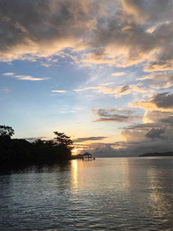 Sand Dollar Beach Bed & Breakfast Bocas Town Luaran gambar