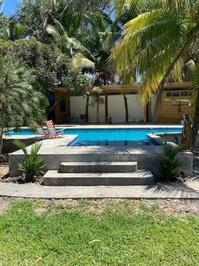 Sand Dollar Beach Bed & Breakfast Bocas Town Luaran gambar