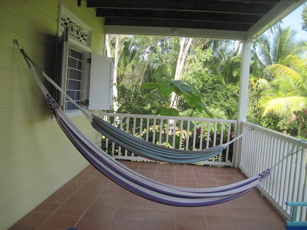Sand Dollar Beach Bed & Breakfast Bocas Town Bilik gambar