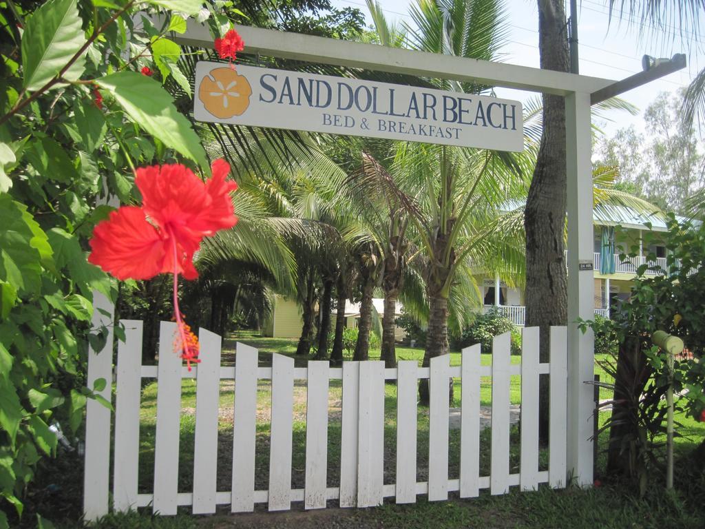 Sand Dollar Beach Bed & Breakfast Bocas Town Bilik gambar