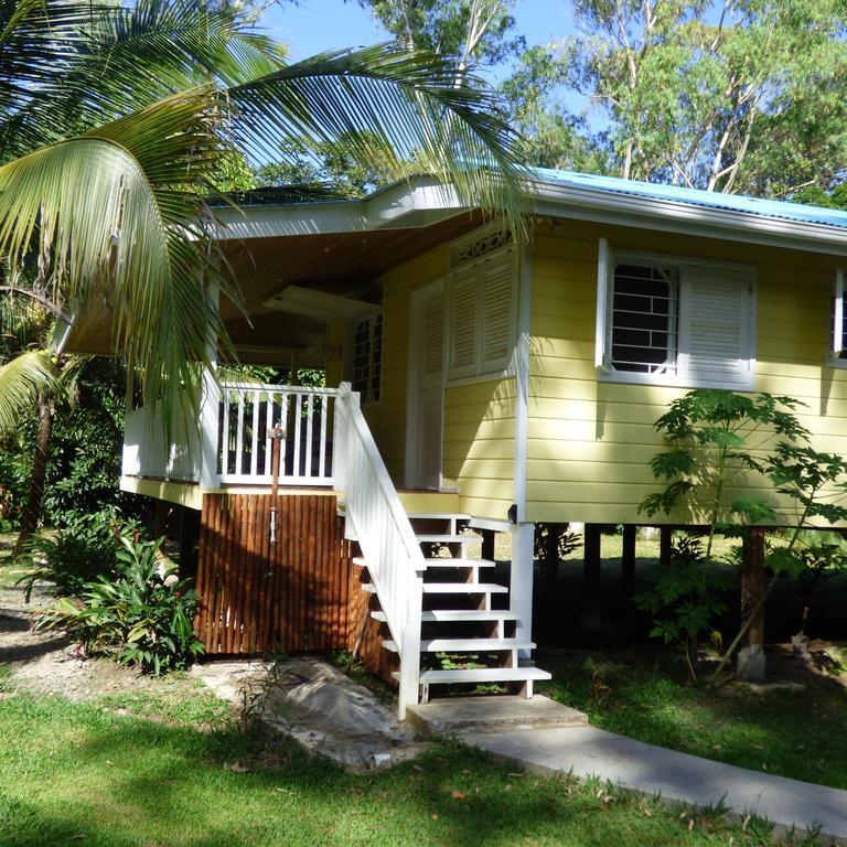 Sand Dollar Beach Bed & Breakfast Bocas Town Bilik gambar