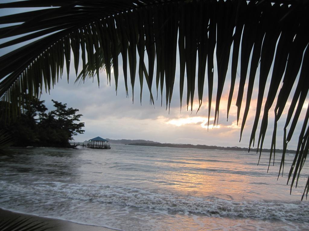Sand Dollar Beach Bed & Breakfast Bocas Town Luaran gambar