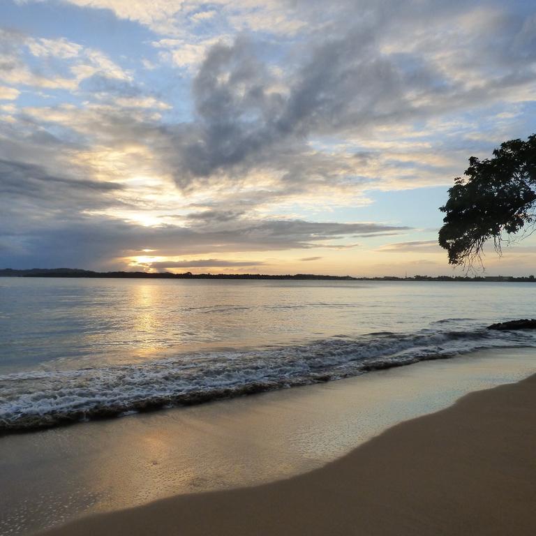 Sand Dollar Beach Bed & Breakfast Bocas Town Luaran gambar