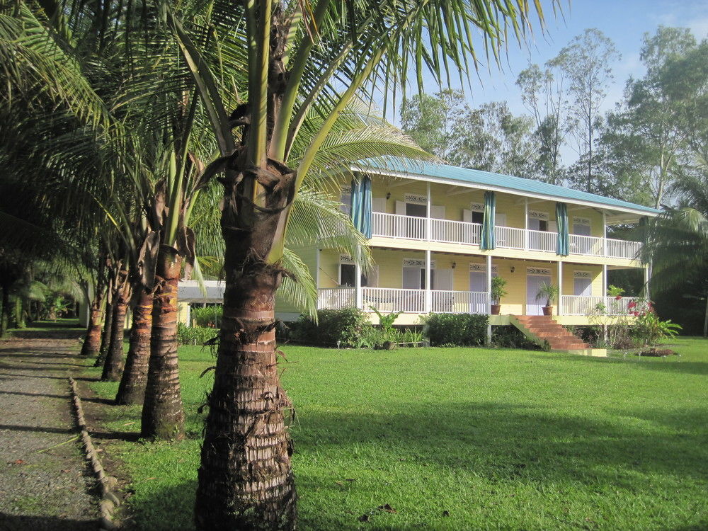 Sand Dollar Beach Bed & Breakfast Bocas Town Luaran gambar