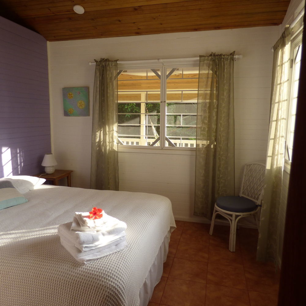 Sand Dollar Beach Bed & Breakfast Bocas Town Luaran gambar