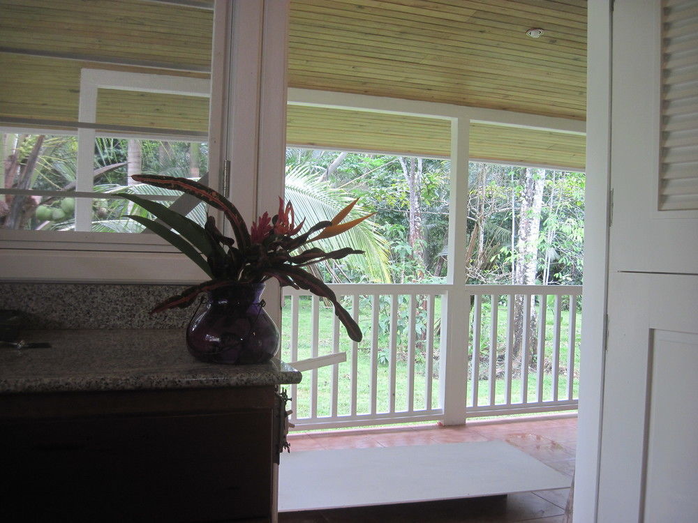 Sand Dollar Beach Bed & Breakfast Bocas Town Luaran gambar