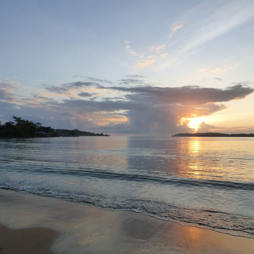 Sand Dollar Beach Bed & Breakfast Bocas Town Luaran gambar