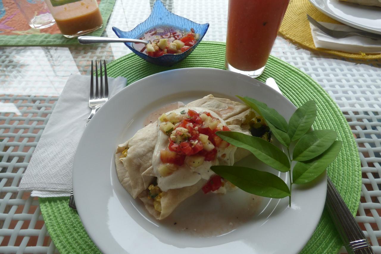 Sand Dollar Beach Bed & Breakfast Bocas Town Luaran gambar